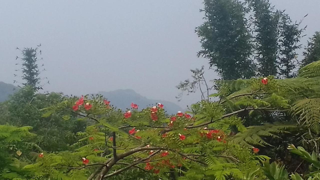 Hospedaje Totalmanik Cuetzalan Luaran gambar