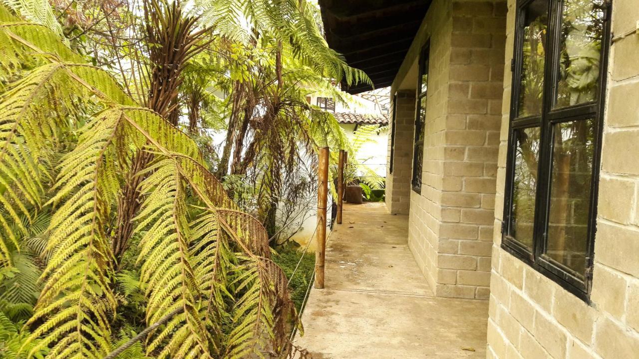 Hospedaje Totalmanik Cuetzalan Luaran gambar